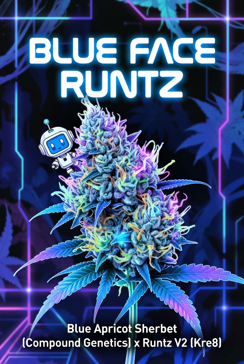 Blue Face Runtz