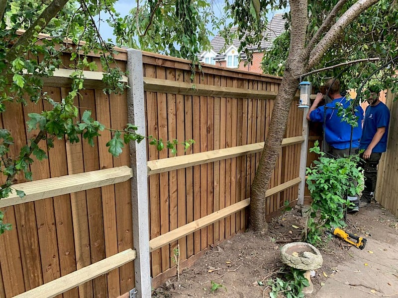 Fencing Work