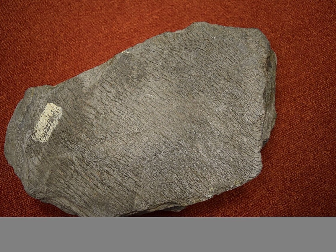 Phyllite