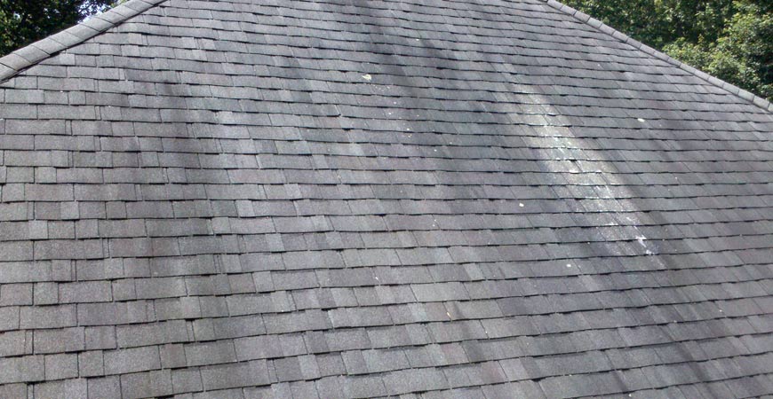 Before: Roof Cleaning Results