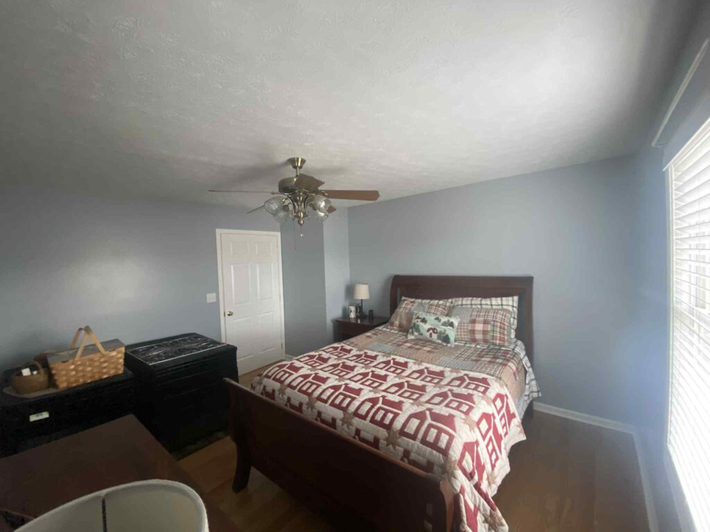 Interior Room Painting