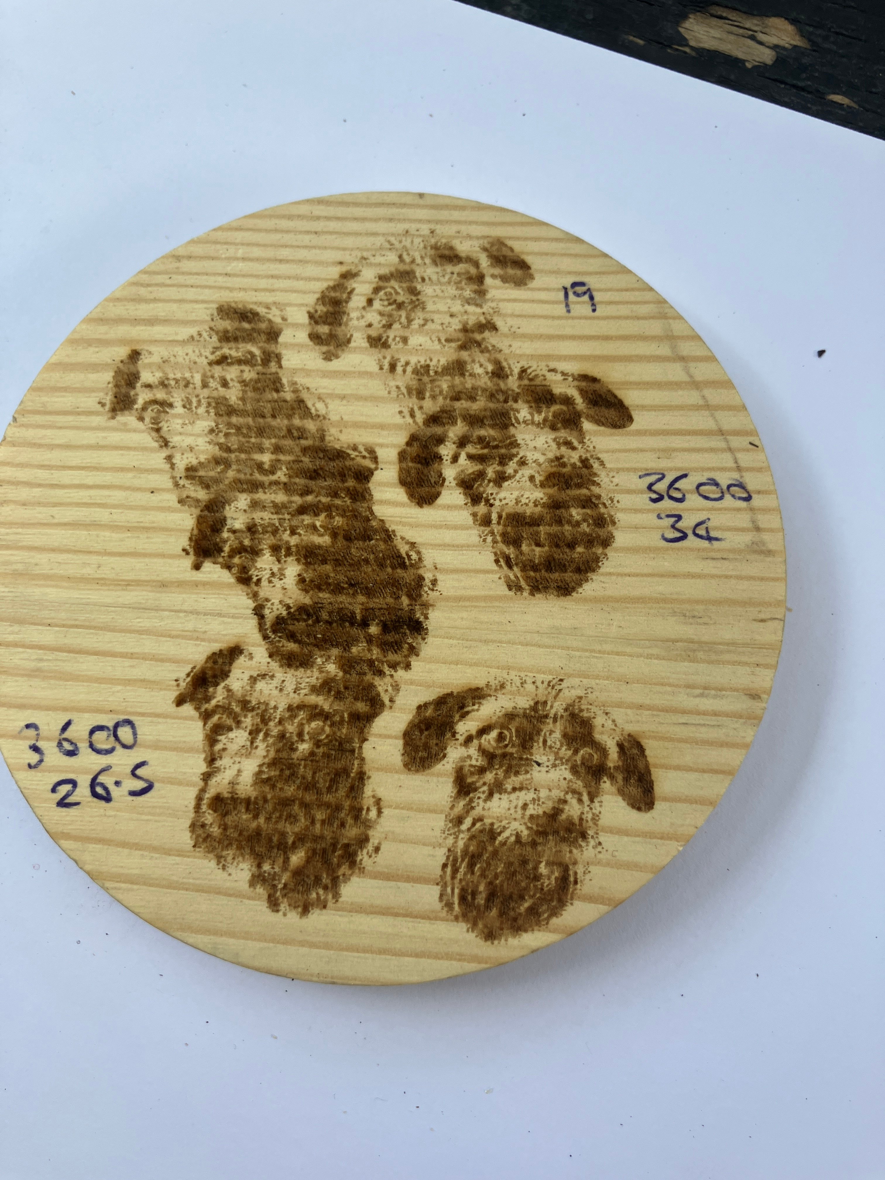 Engraved pet portraits on wood