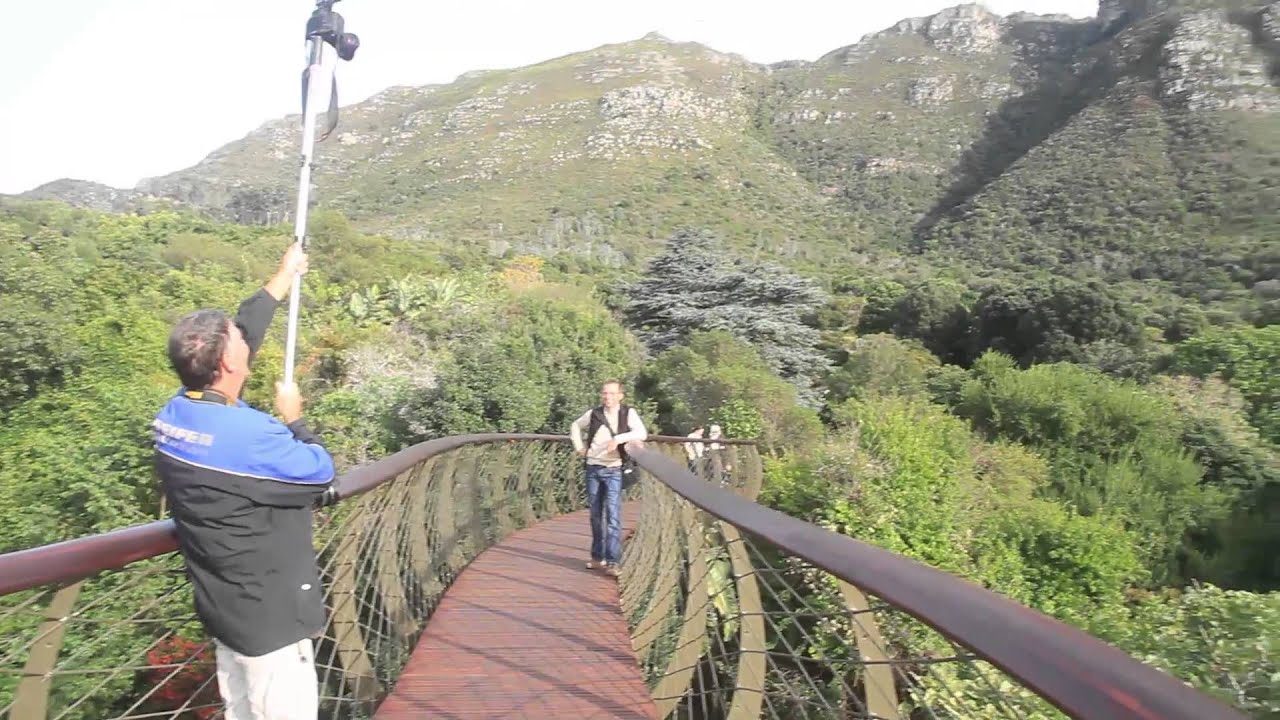 Kirstenbosch, Bo-Kaap & Penguins Full-Day Tour — Photo 2