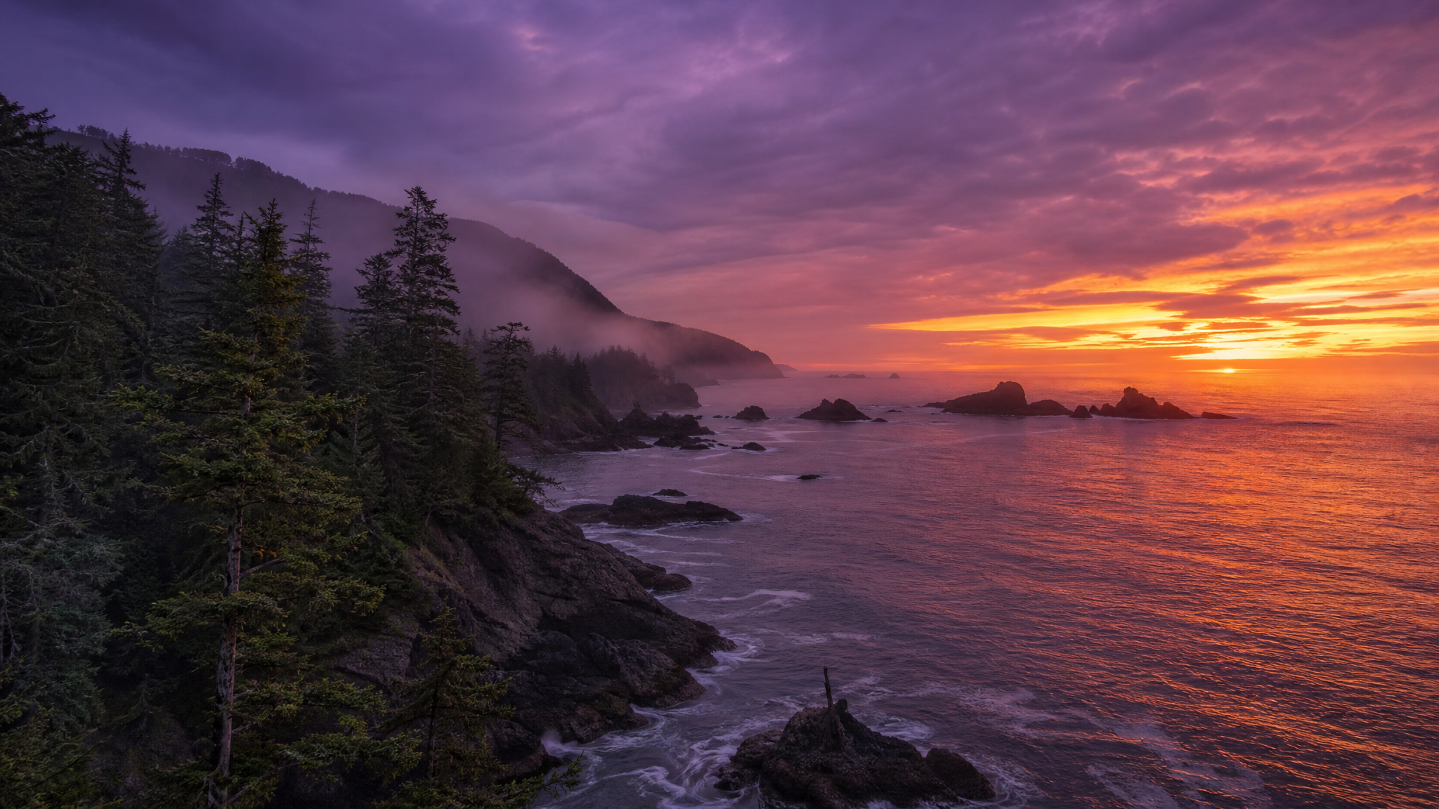 Pacific Northwest coastline at dusk — forest meeting the ocean in Tlingit and Haida territory