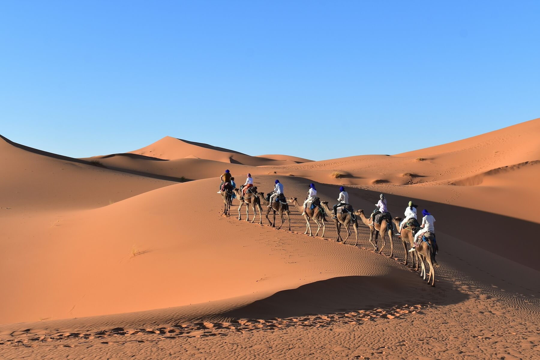 Caravane de dromadaires dans les dunes du Sahara