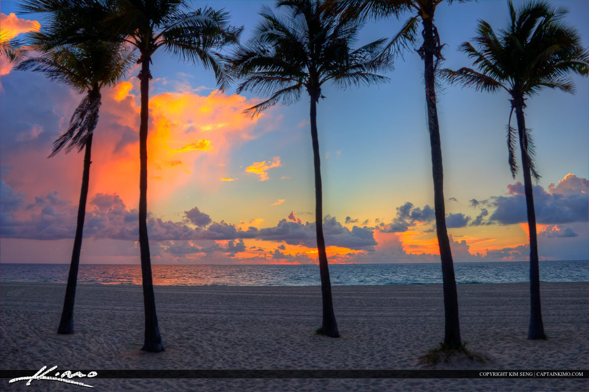 Beautiful sunset over Fort Lauderdale beach with palm trees