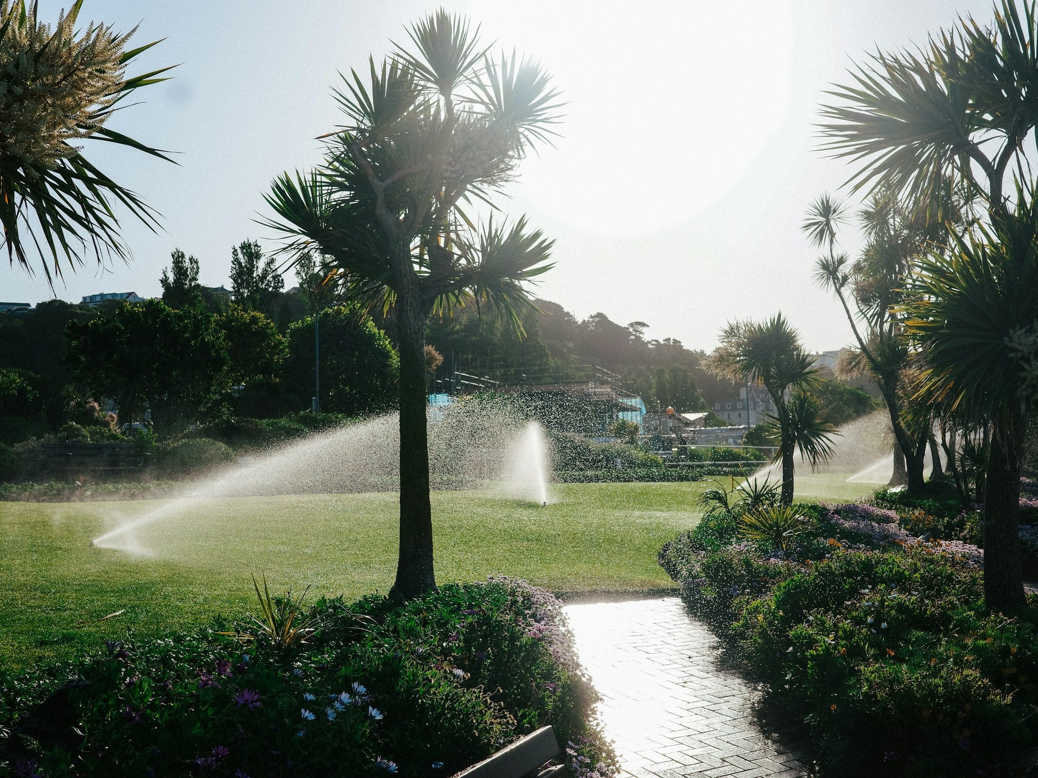 Residential garden in Bulawayo with sprinkler irrigation system