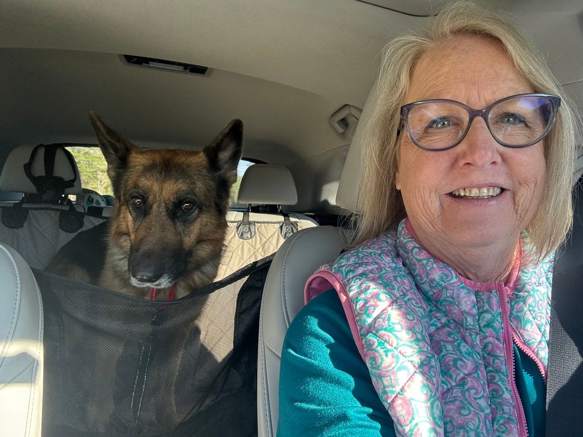 Shelby's Forever Home photo 2