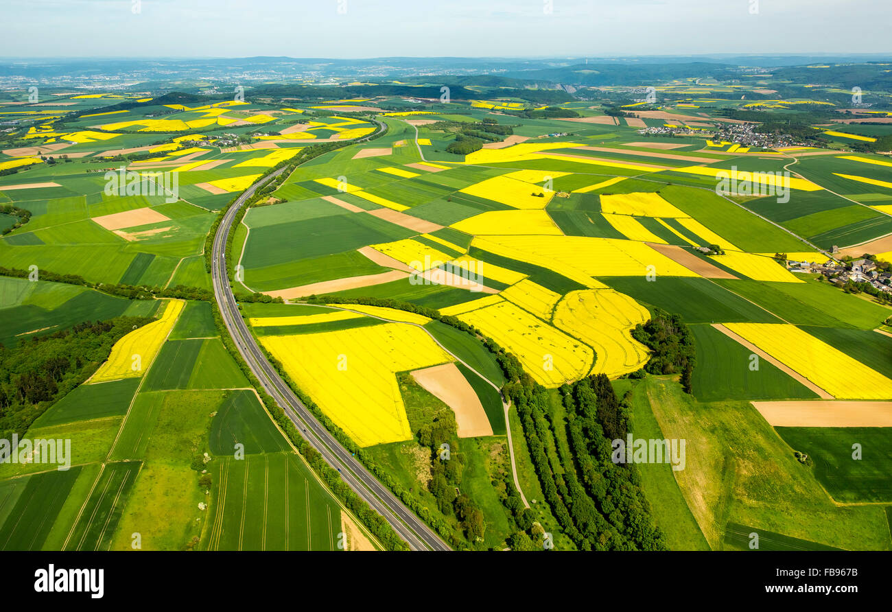 The Rise of Crop Zoning: A Sustainable Future for Agriculture in 2025