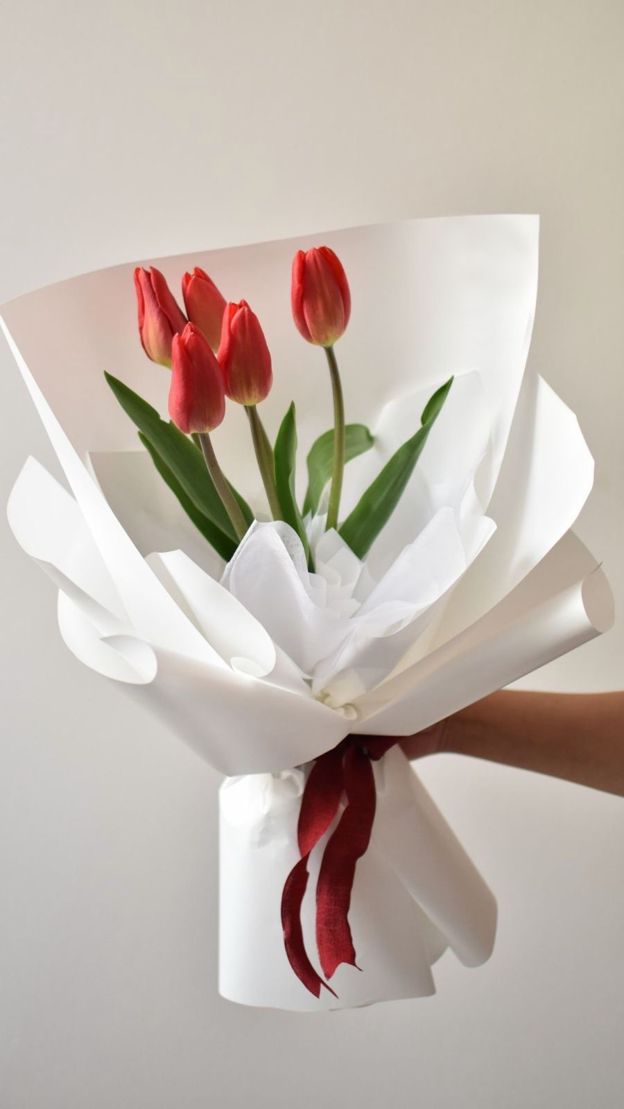 Ramo Tulipanes 5pz