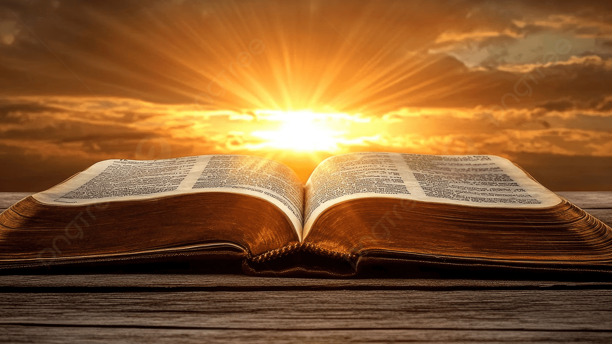 Open Bible in garden