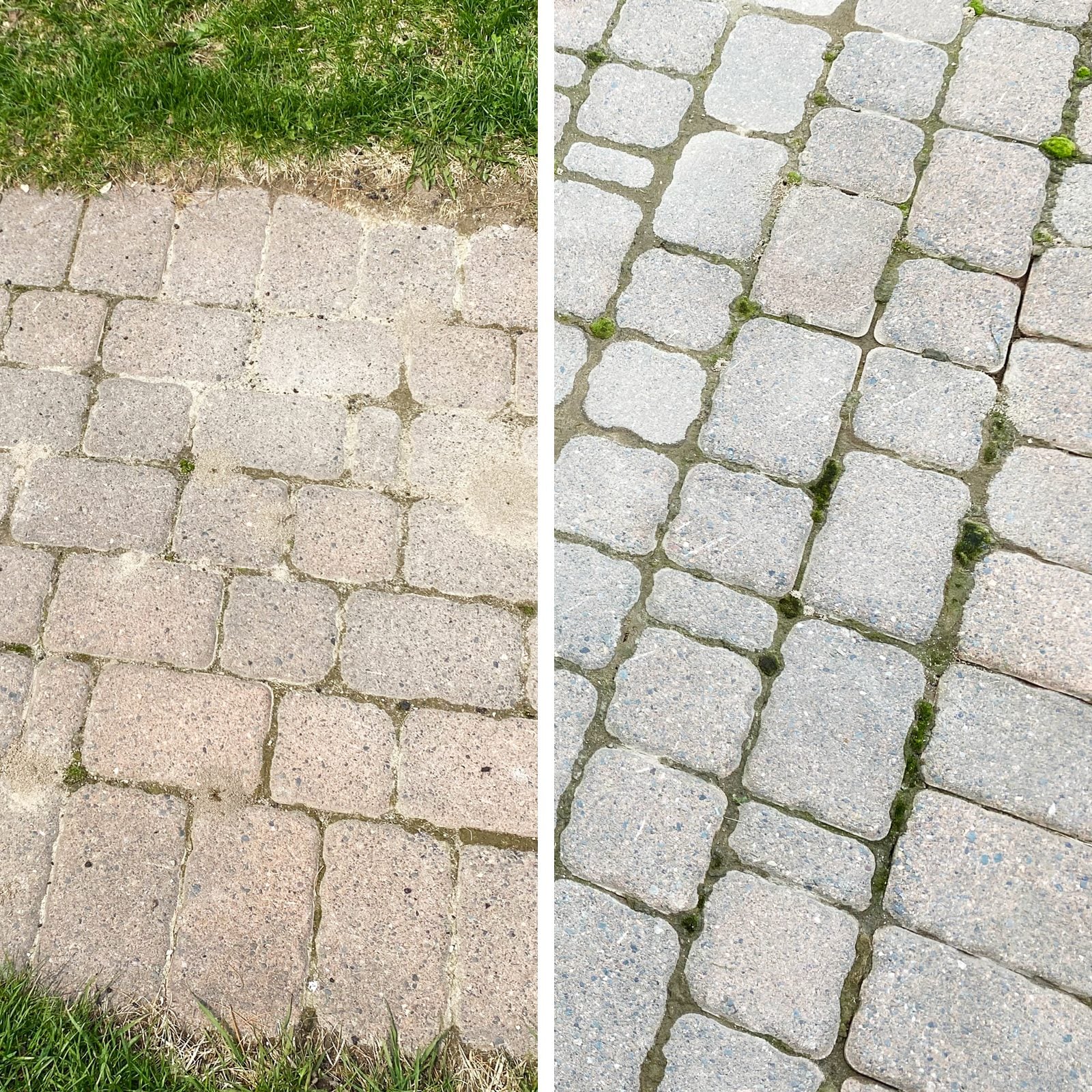 After: Patio & Paver Revival