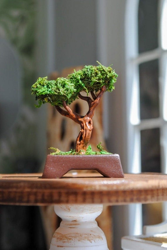 Bonsai Decorativo