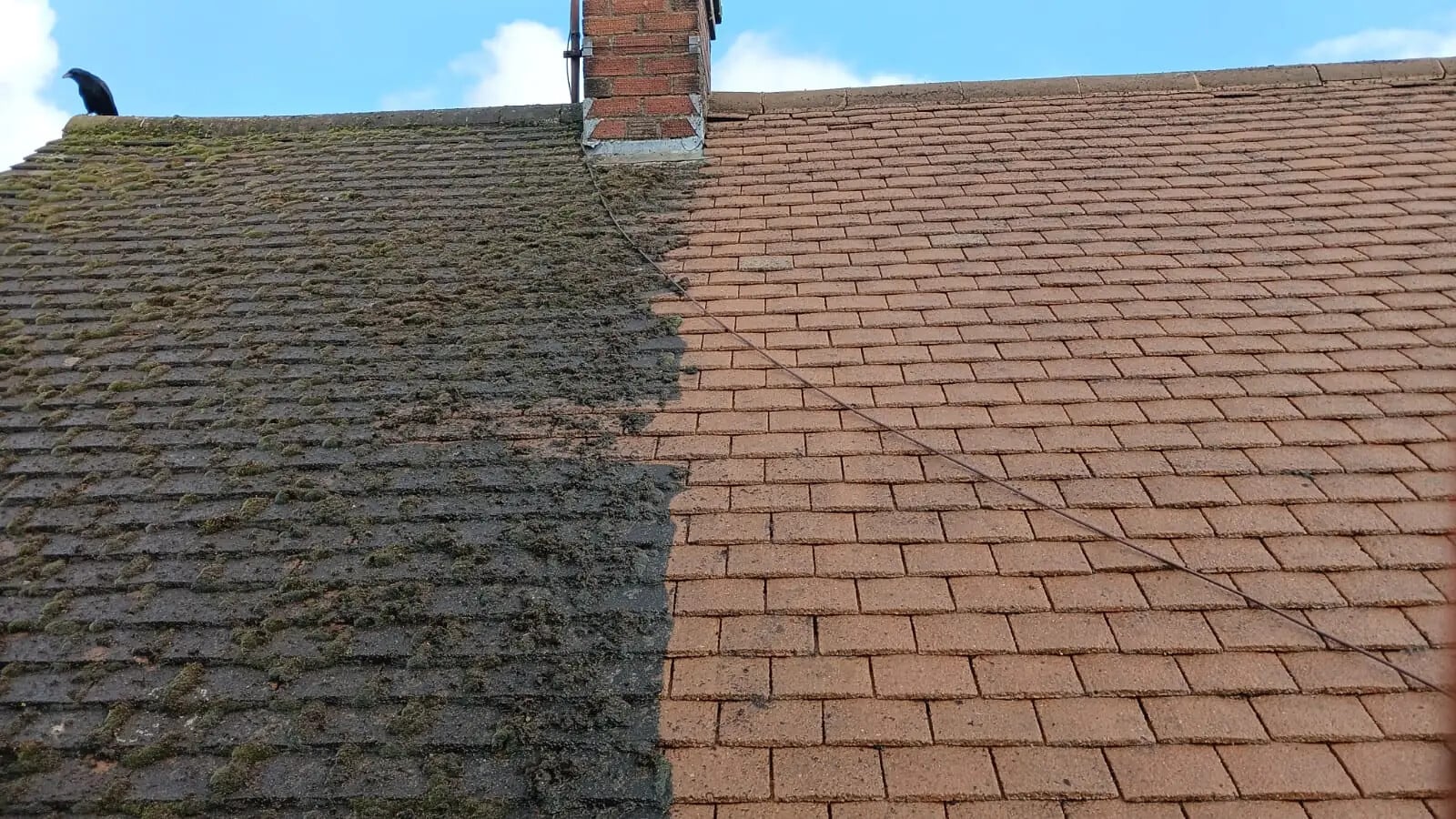 Roof Cleaning & Moss Removal