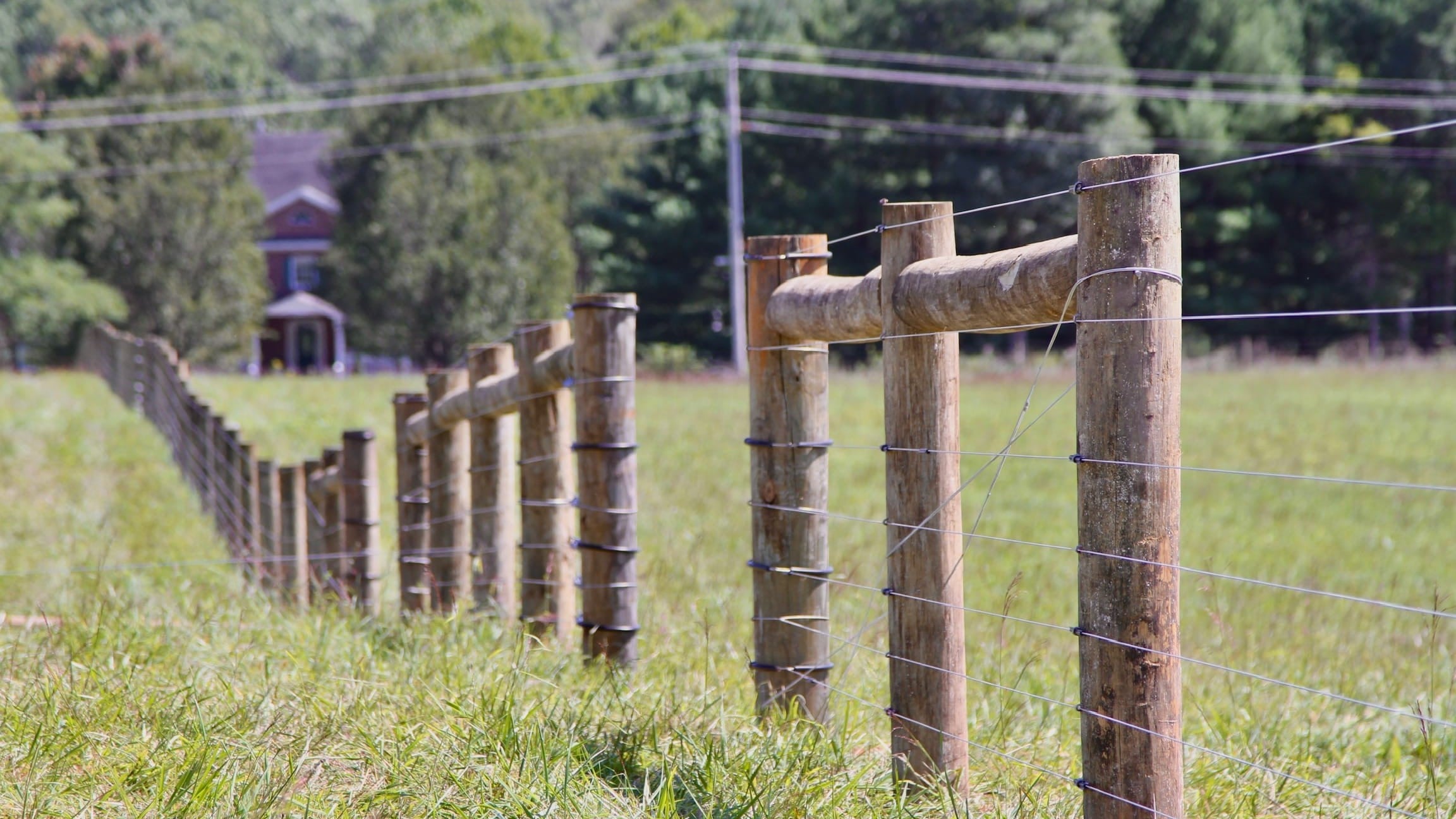 Fence Installation & Repair