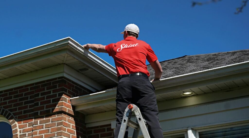 Professional gutter cleaning