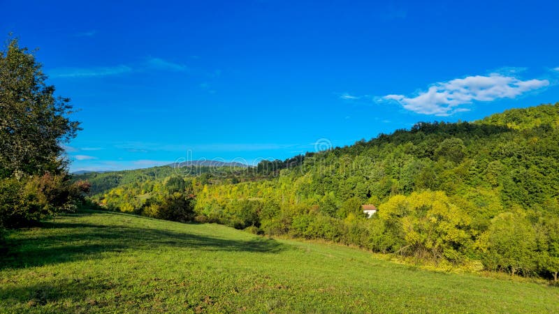 Beautiful Texas countryside landscape with green rolling hills and trees