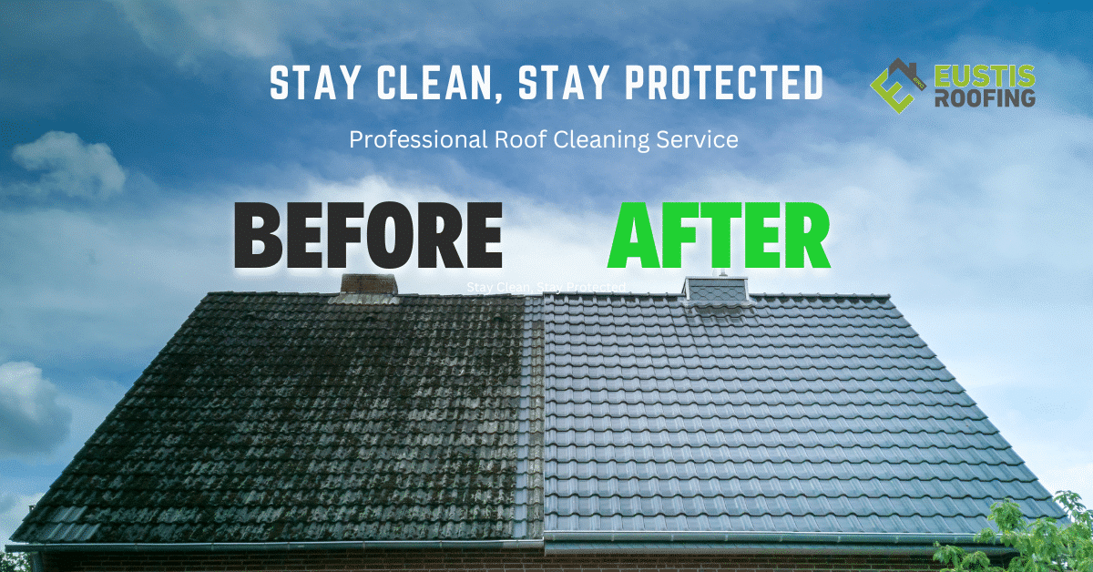 Roof cleaning service