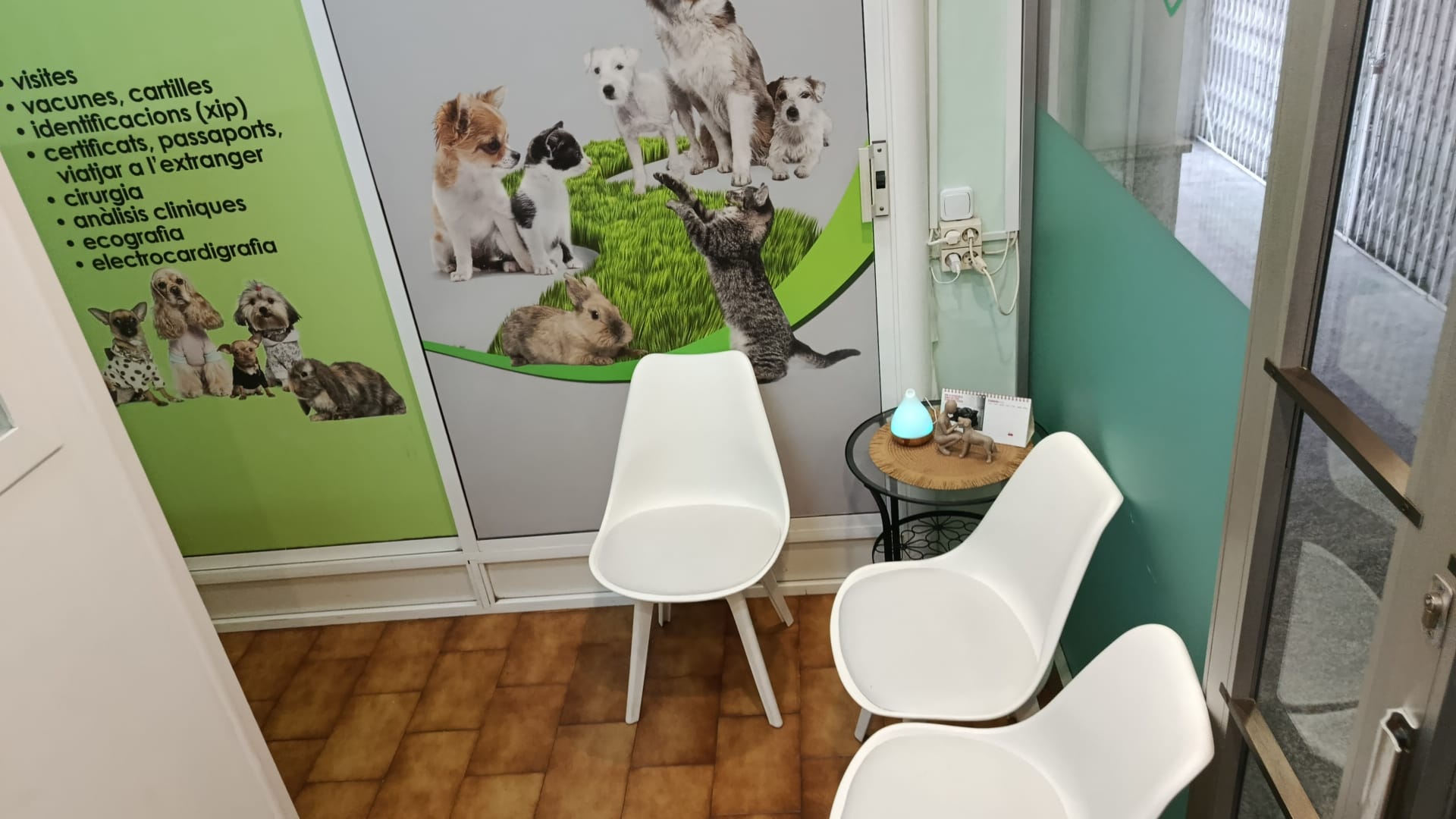 Sala de espera AmorVet