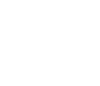 IBC Solar Logo
