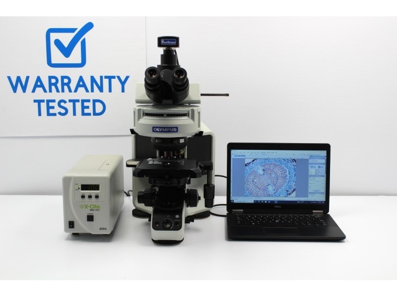 Olympus BX53 Upright Microscope