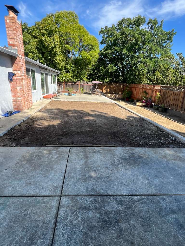 Restored Yard After Pool Removal