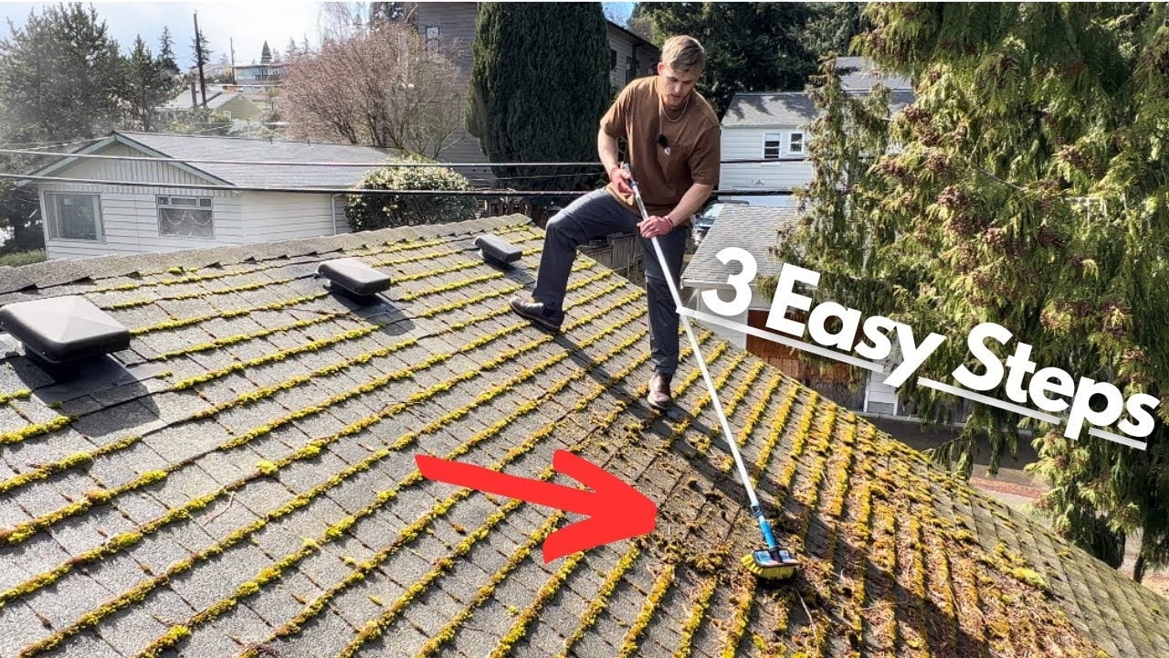 Moss removal from a UK slate roof