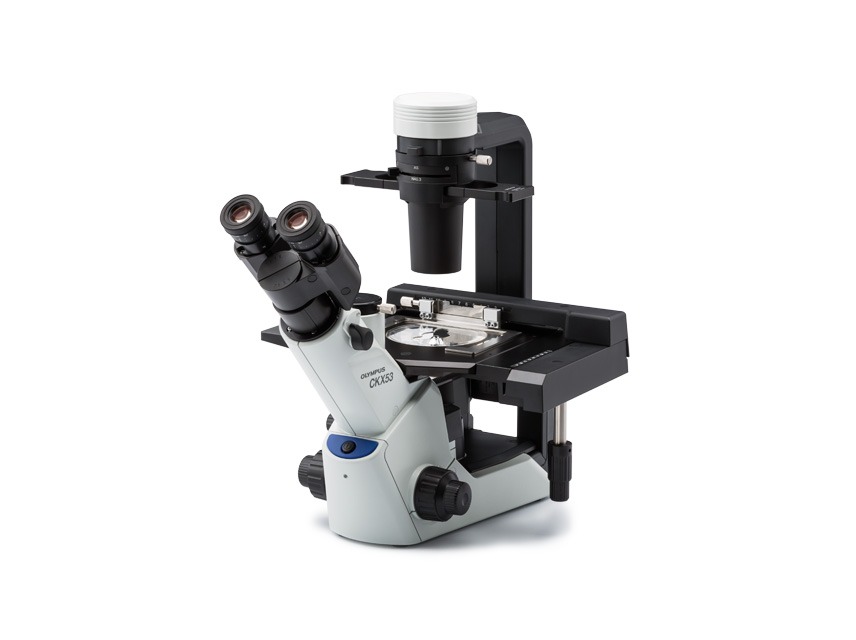 Olympus CKX53 Inverted Microscope