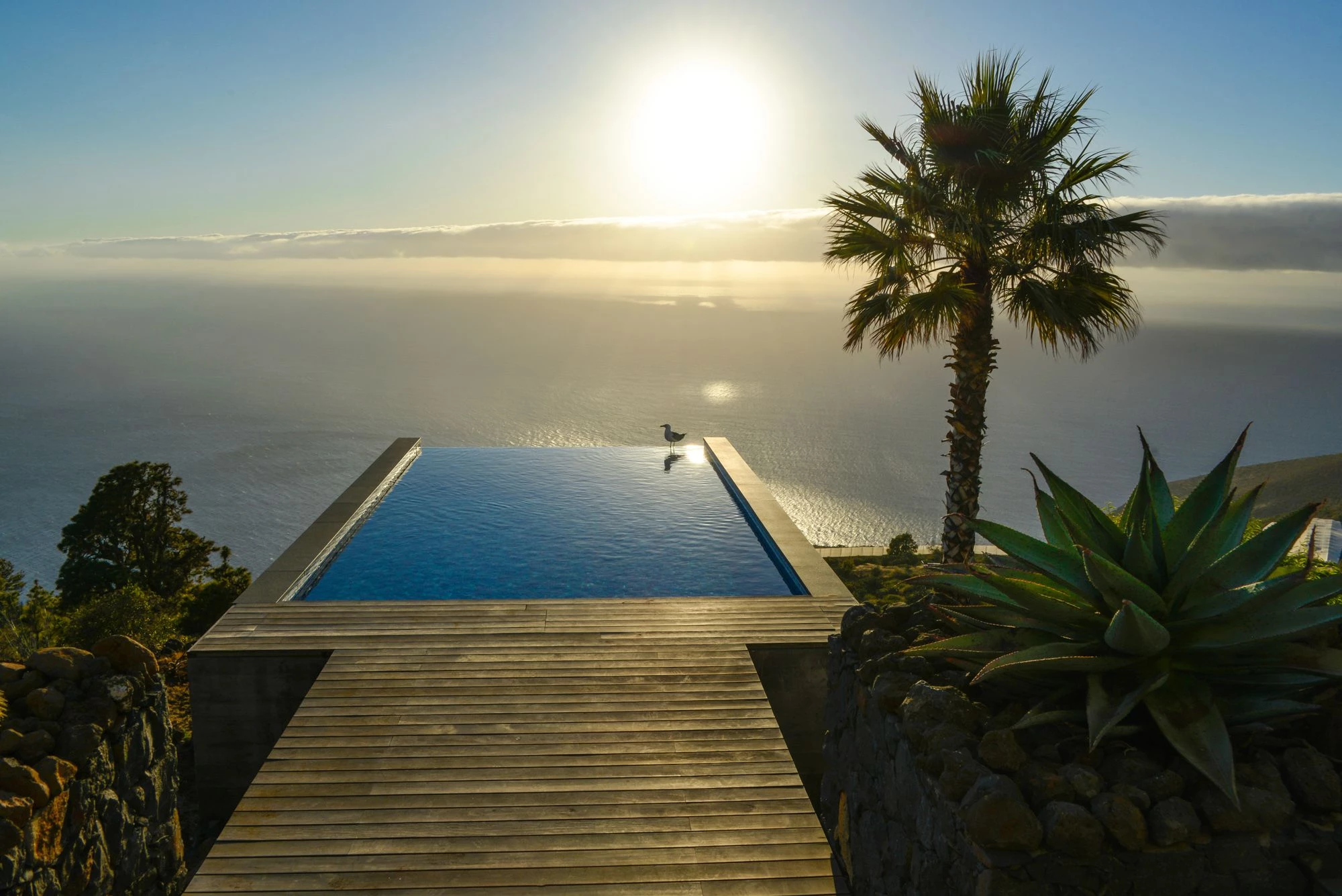 Infinity pool with wooden deck and ocean horizon