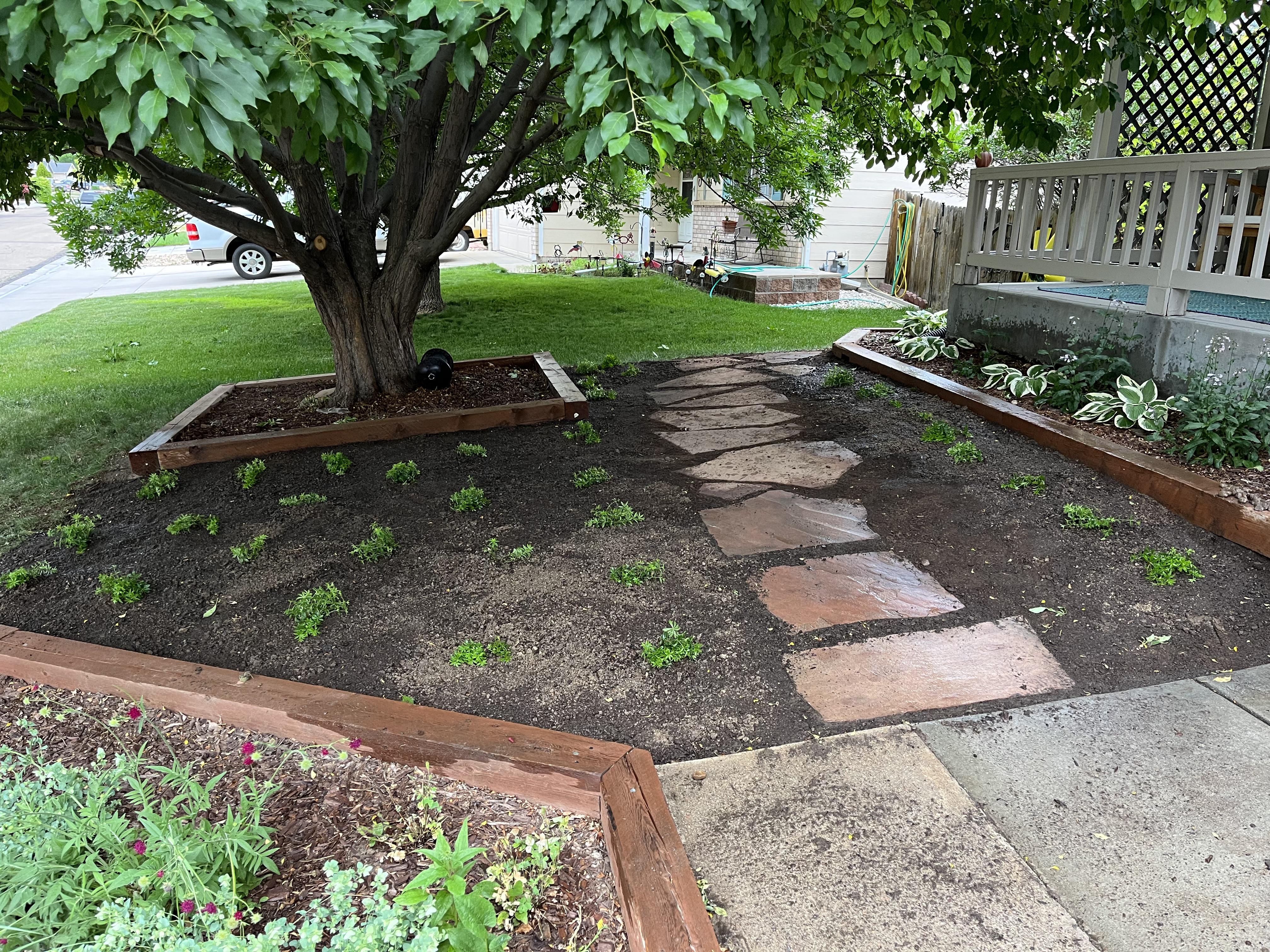 After: 5-Acre Estate Restoration