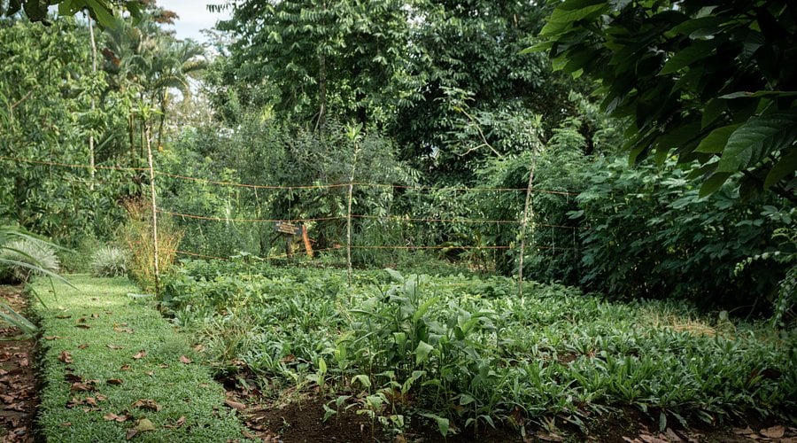 Finca Santa María de la Selva