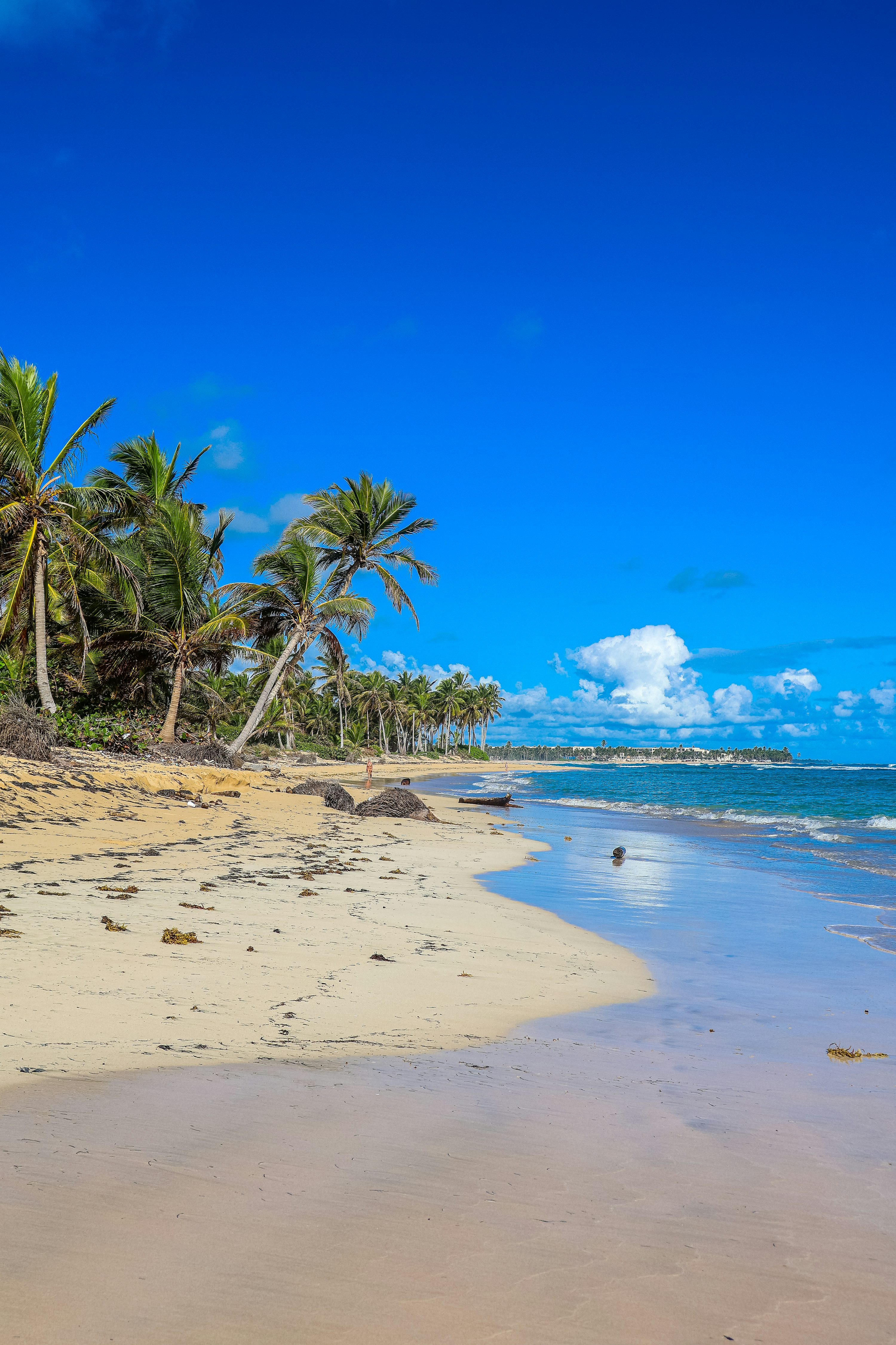 Punta Cana - Paraíso Caribenho