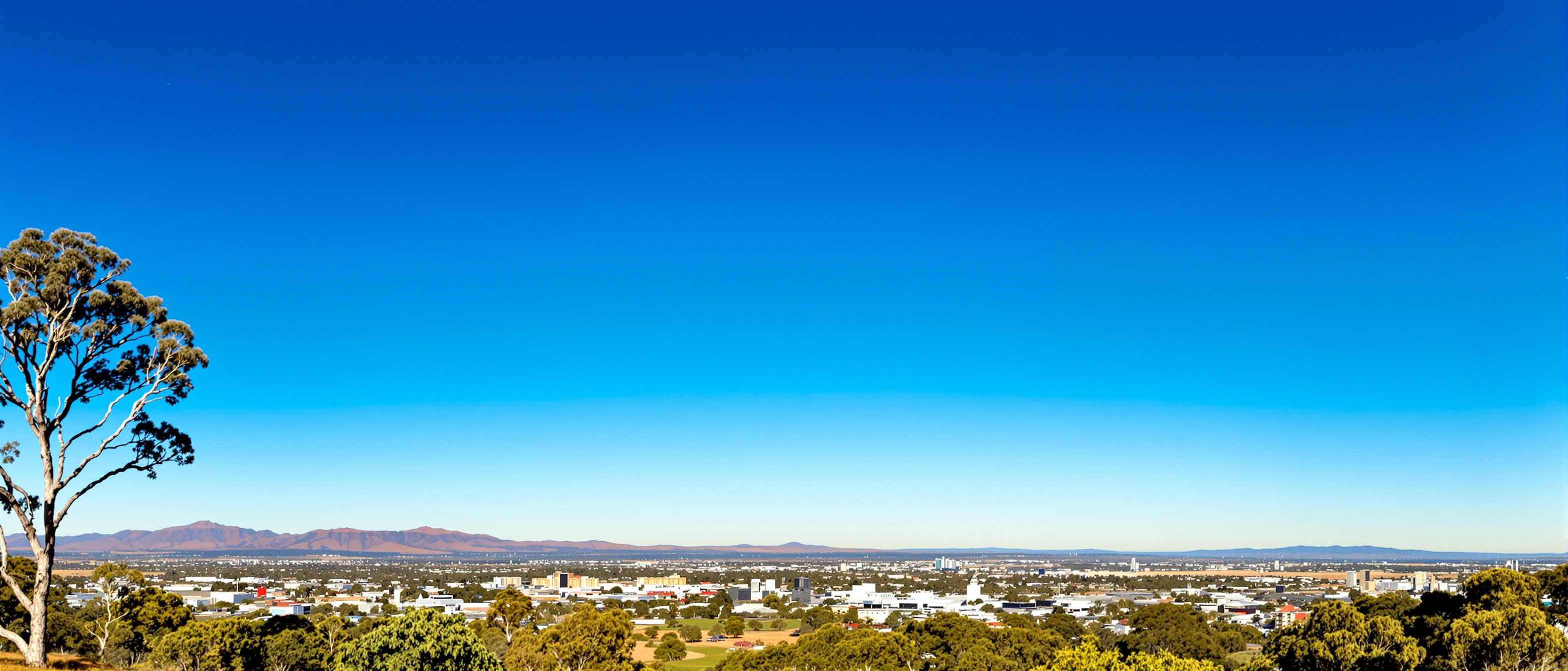 Emerald QLD landscape