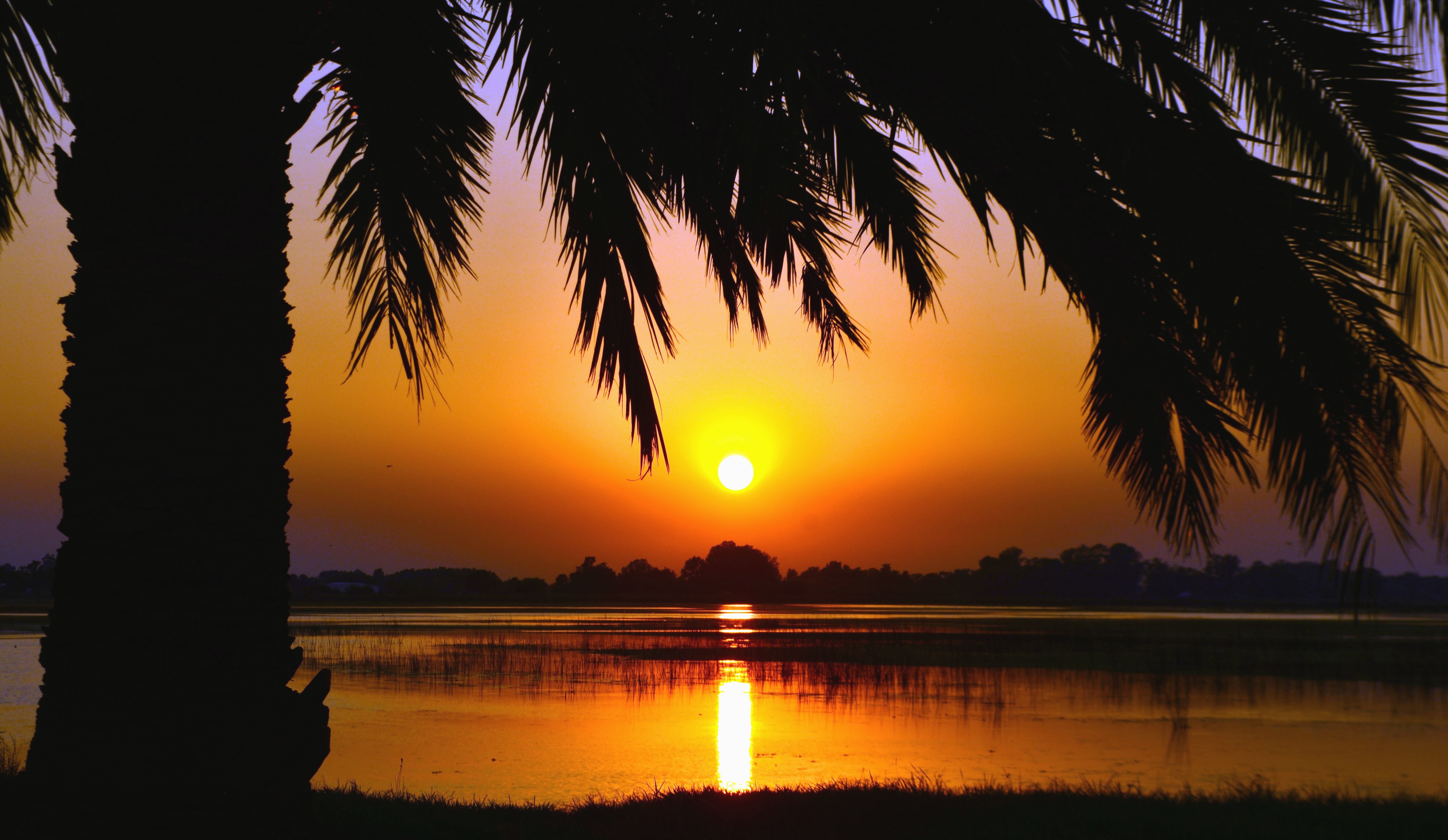 South Florida