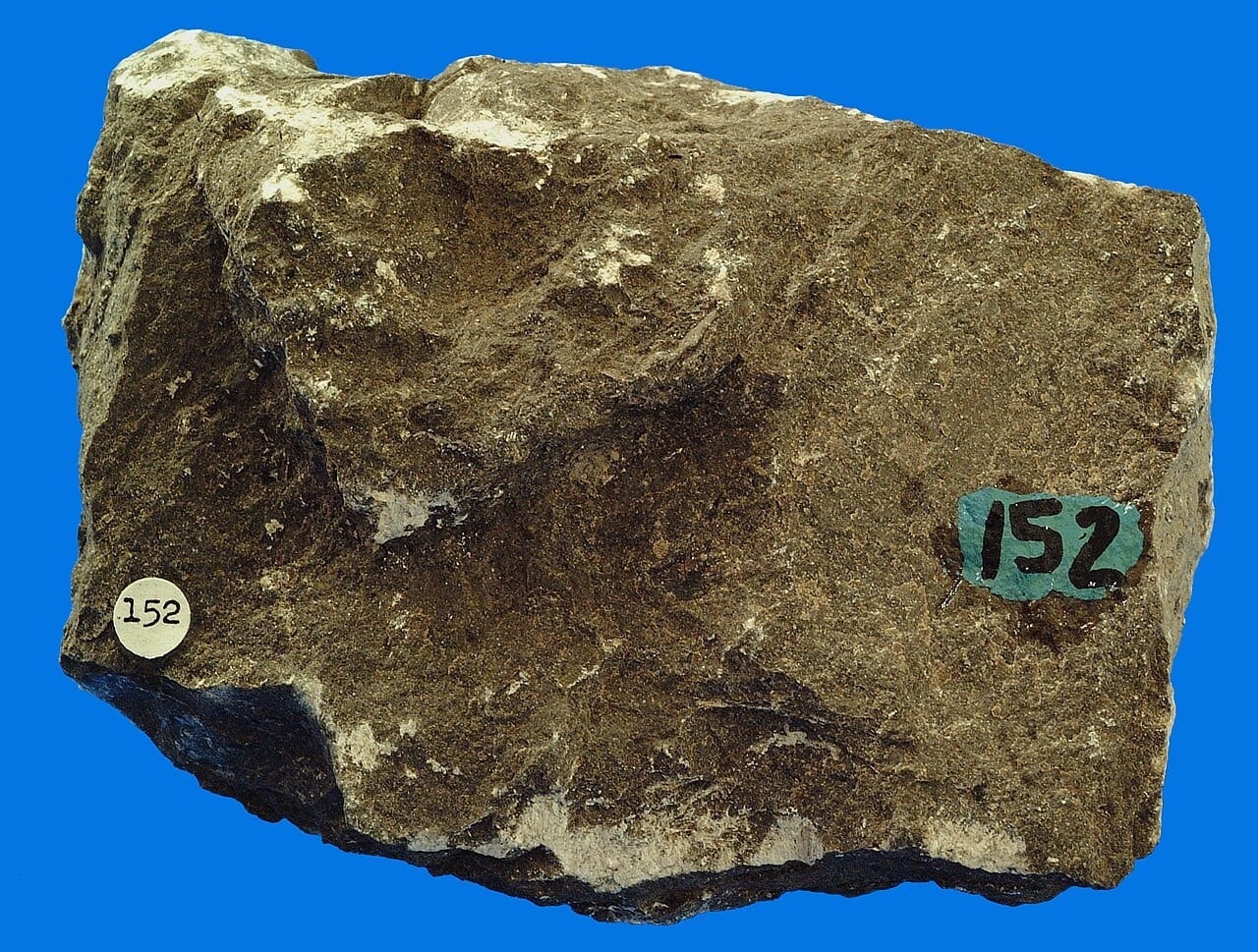 Limestone
