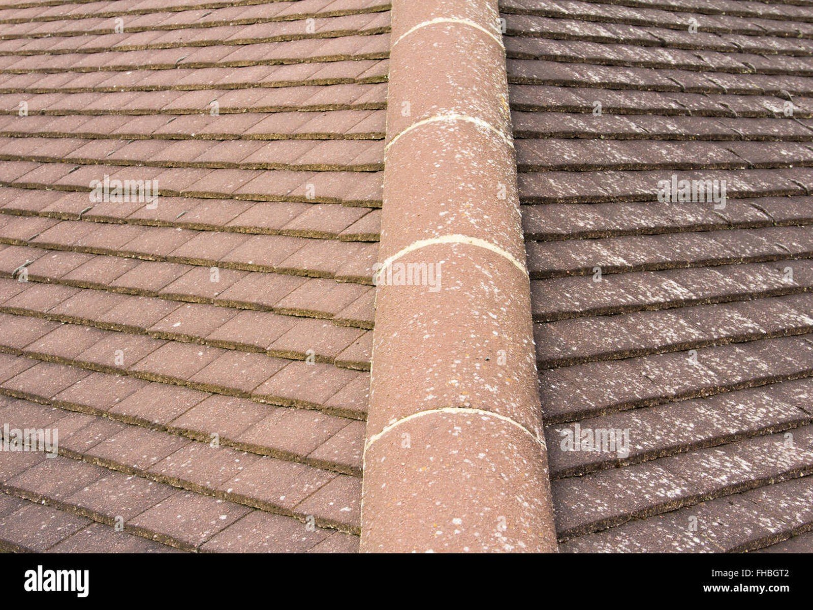 Ridge Tiles Close-up