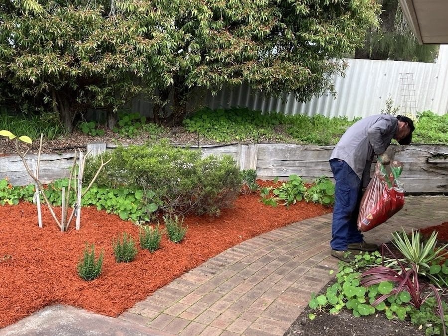 Garden Maintenance service by Working Earth in Sydney