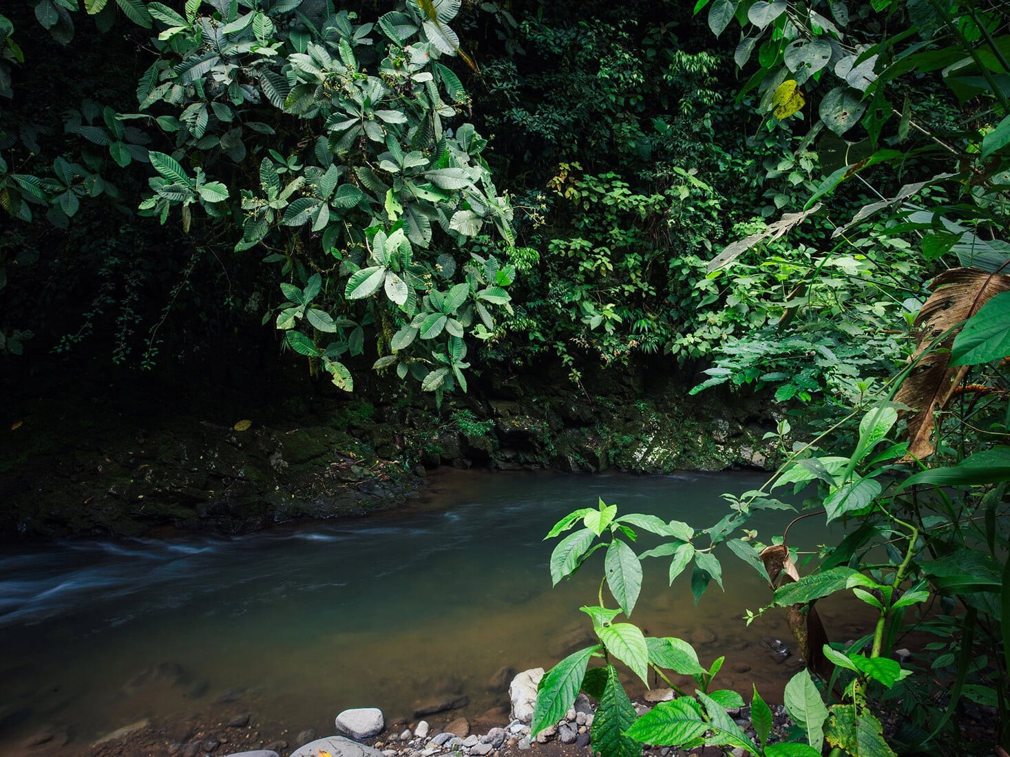 Conservación del agua y los ecosistemas