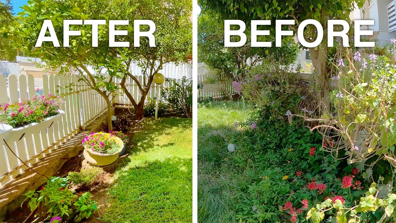 Complete Garden Transformation