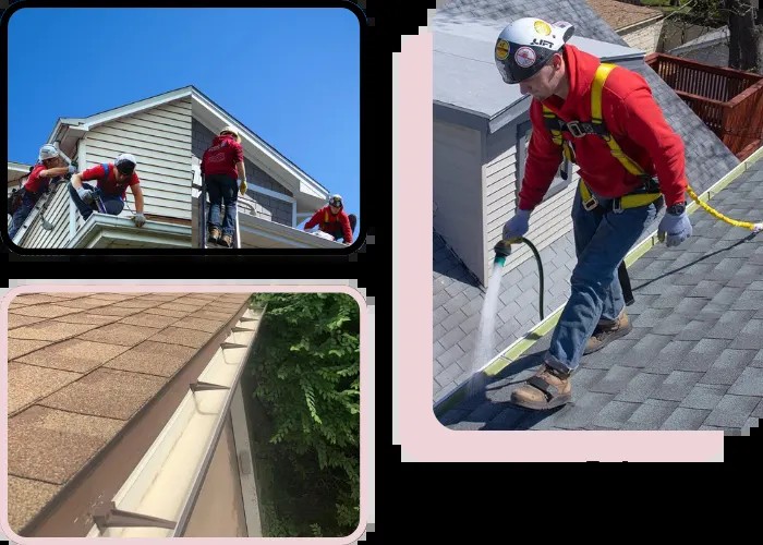 Gutter cleaning service