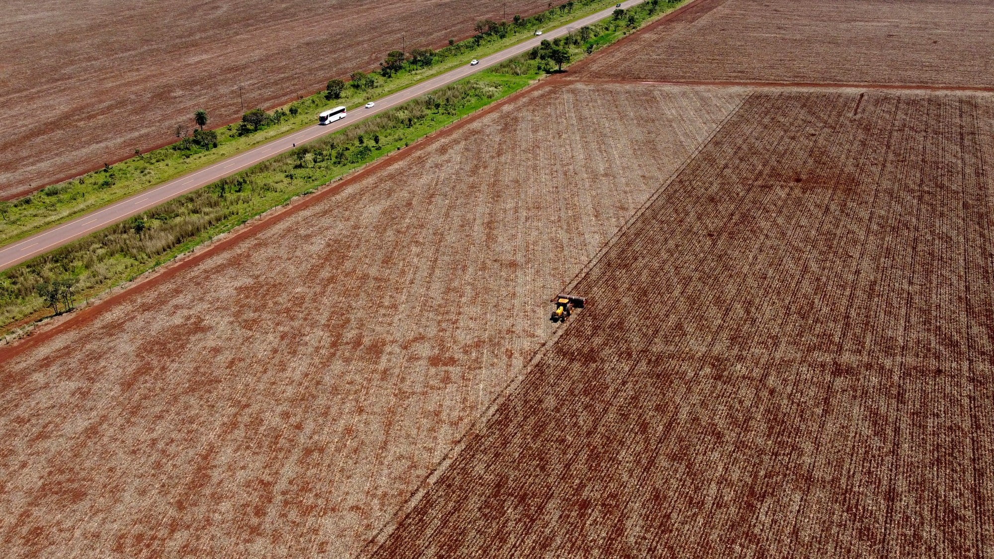 Fazenda Soja e Milho - Sorriso, MT