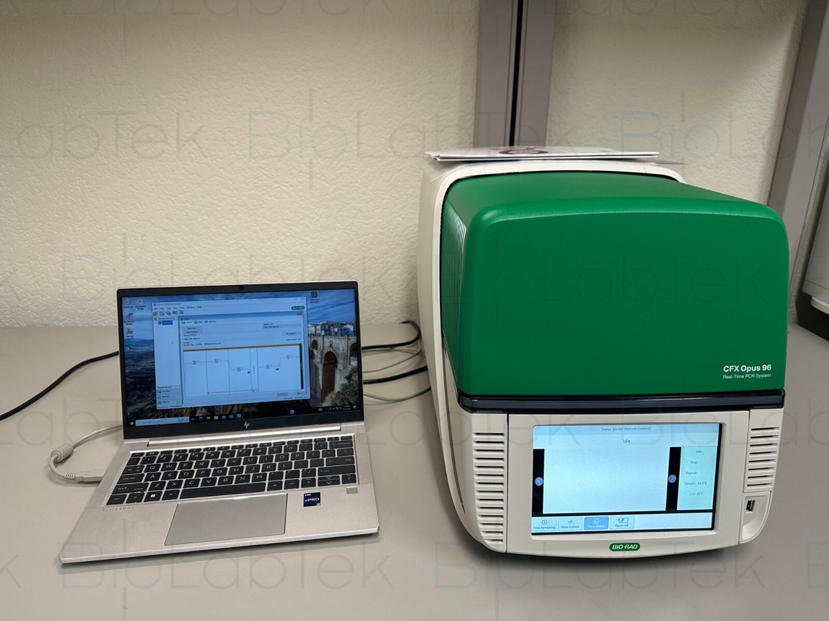 Bio-Rad CFX Opus 96 Real-Time PCR System