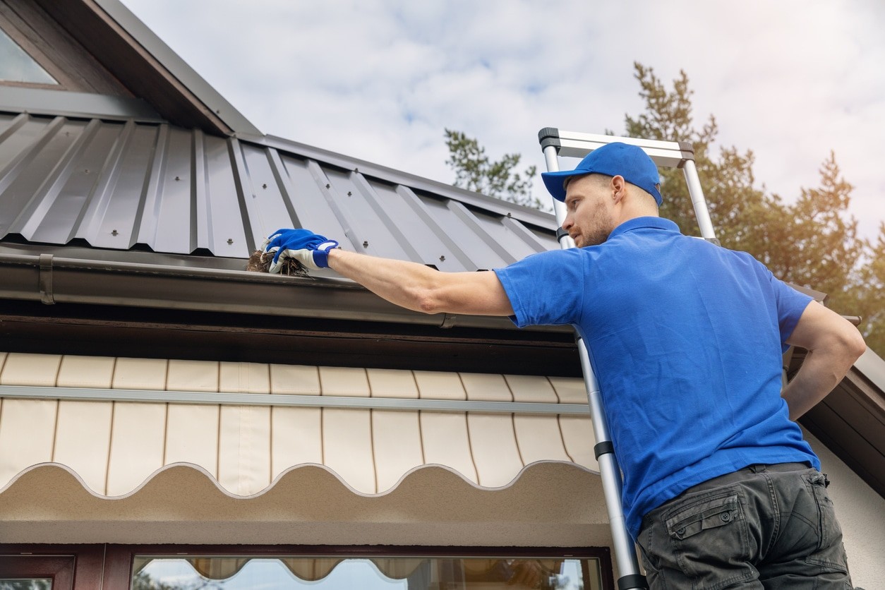 Rain gutter maintenance