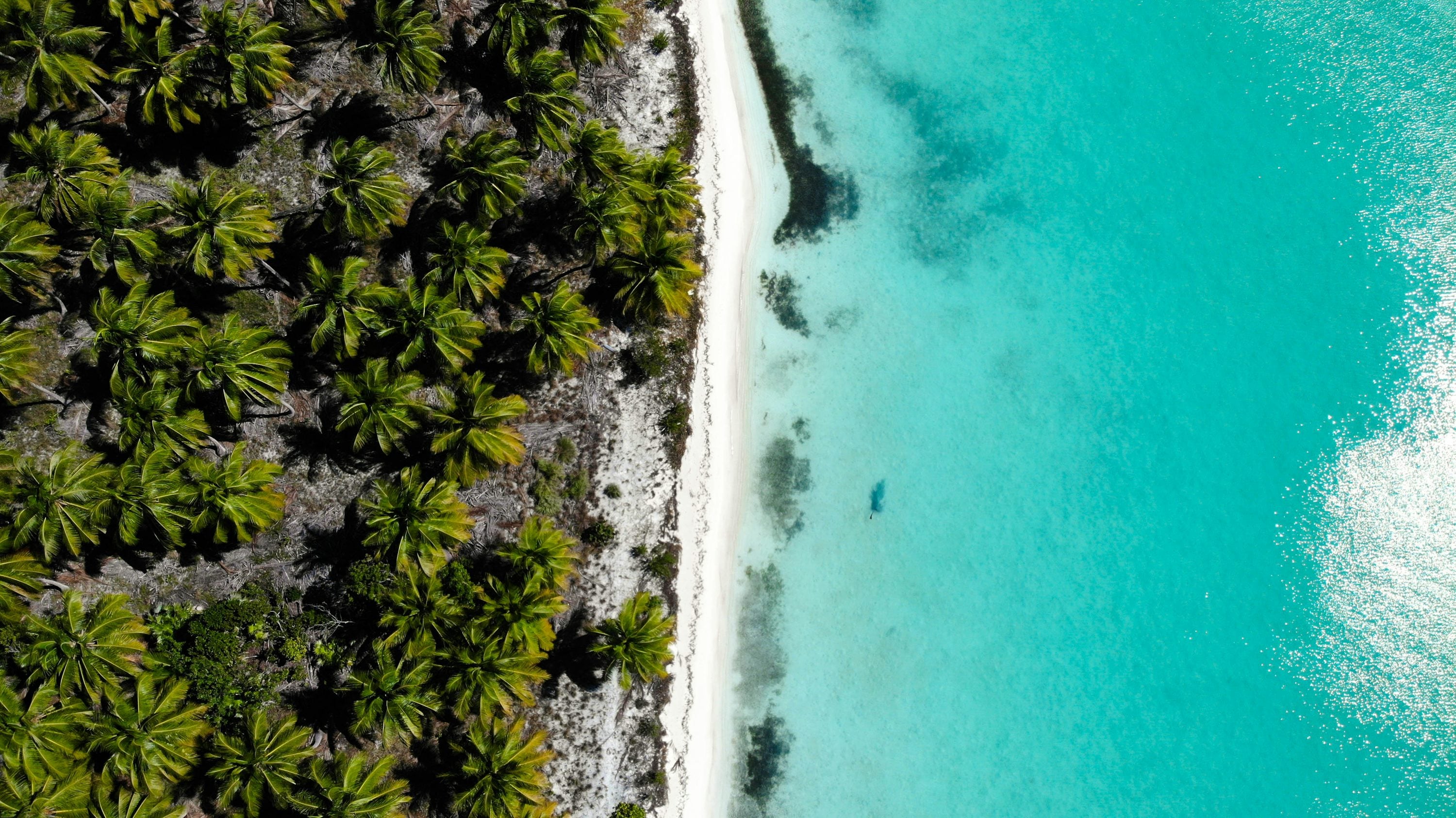 Tropical Beaches