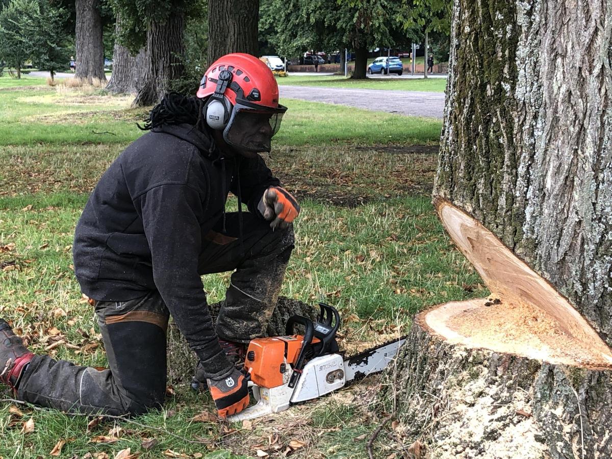 UPVC Cleaning & Restoration