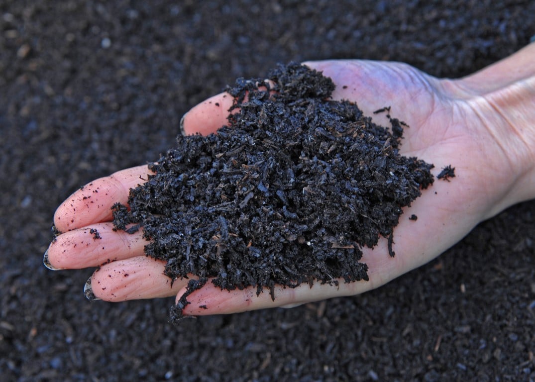 REACTIVE - Agricultural Waste to Carbon Solutions