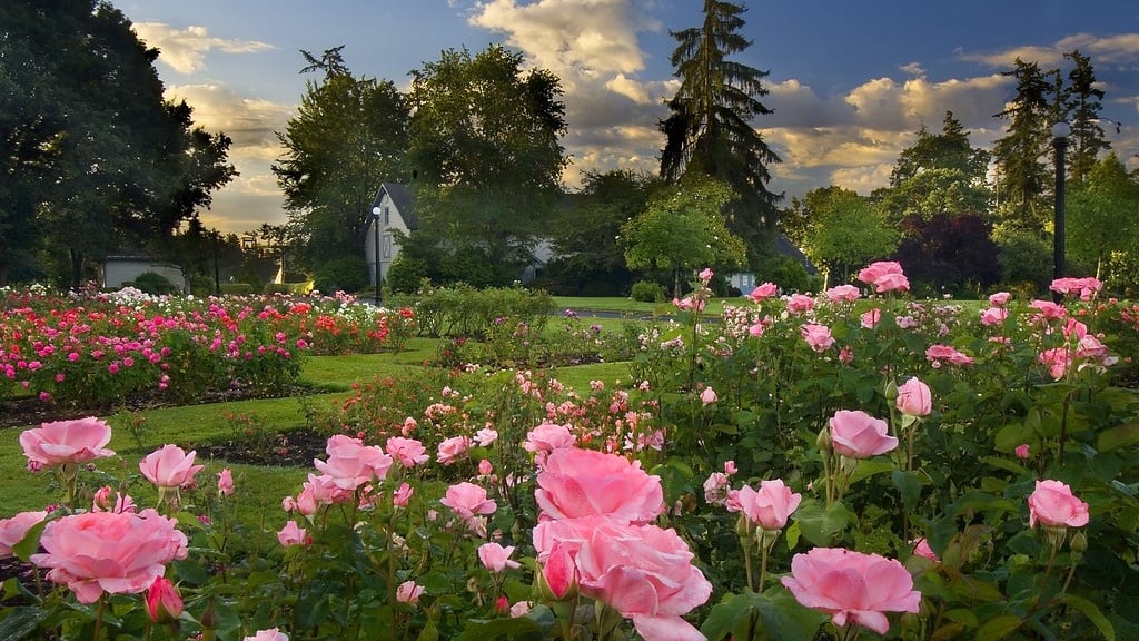 Bush's Pasture Park