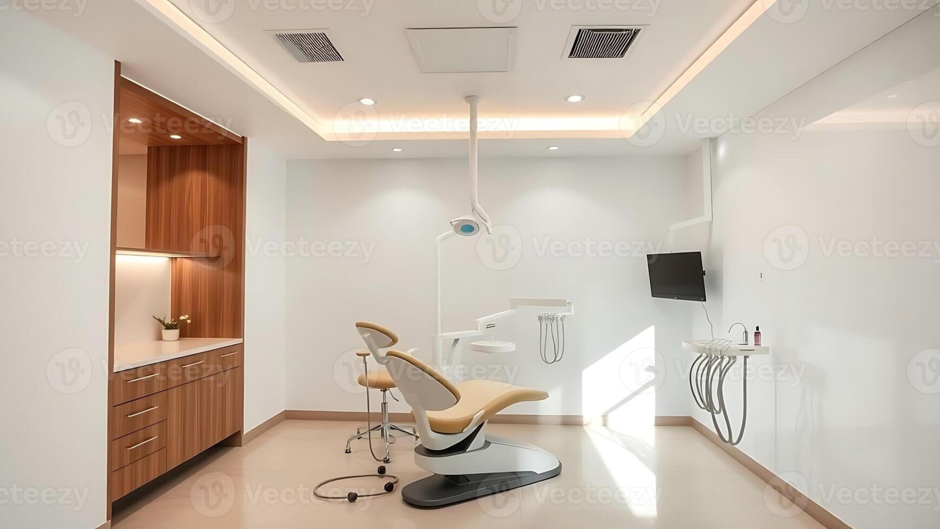 Dental Aesthetics