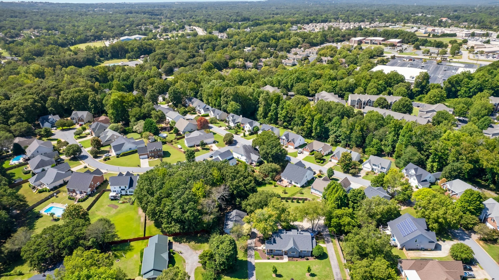 Tree-lined neighborhood street in Northern Virginia