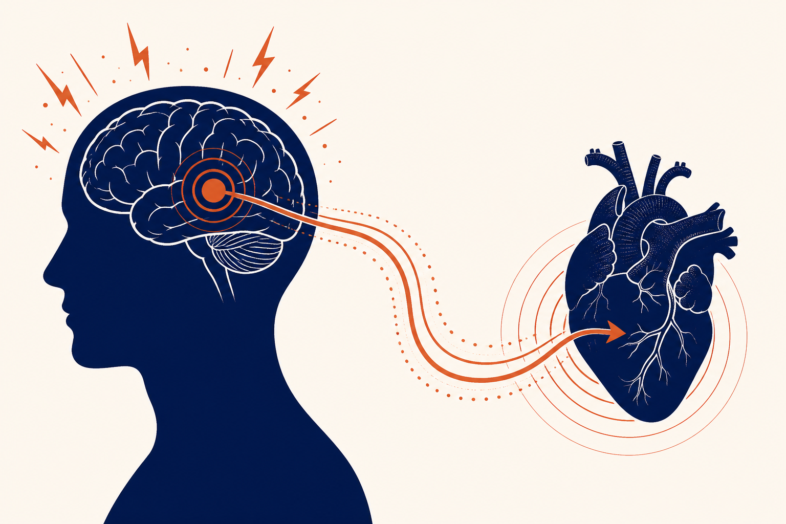 PTSD chronic stress and inflammation driving cardiovascular risk to the heart